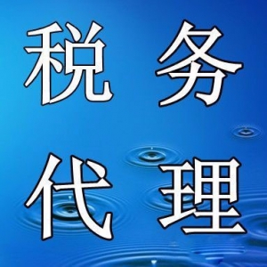 無錫新區(qū)代理記賬 稅務(wù)代理